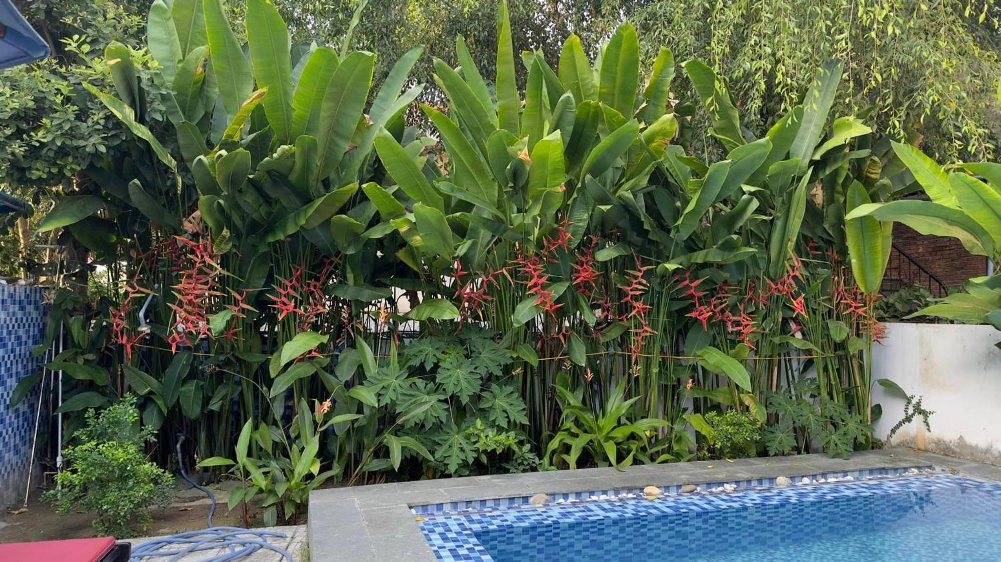 An Bang Gold Coast Beach Villa Hoi An Exterior foto